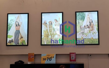 Hoàn thiện tranh điện