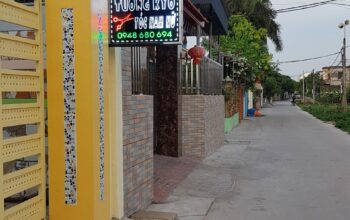 Biển vẫy slon tóc